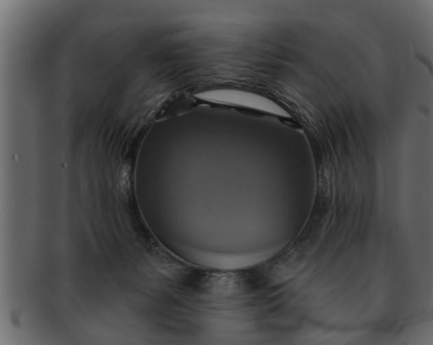 X0000091910127200709191327