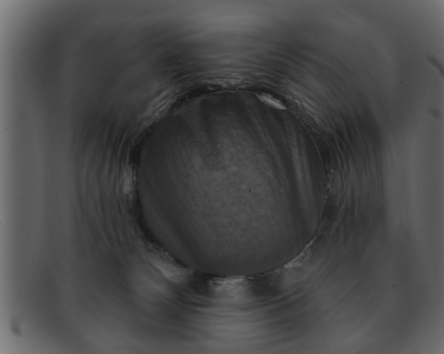 X0000091910132200709191327