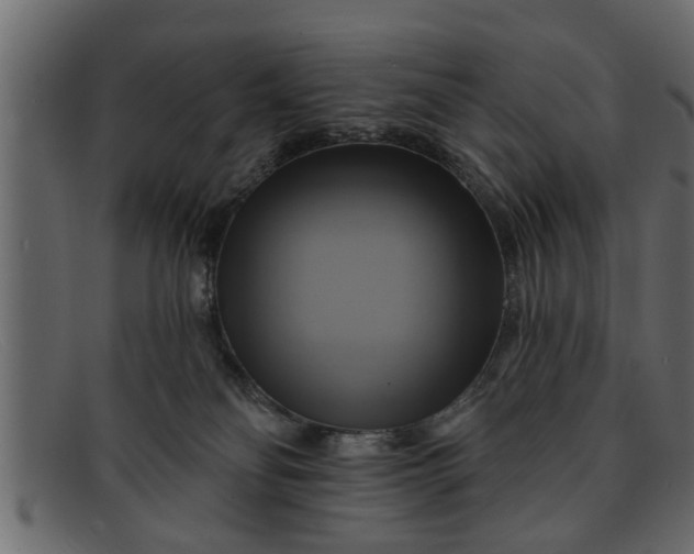 X0000091910134200709191327