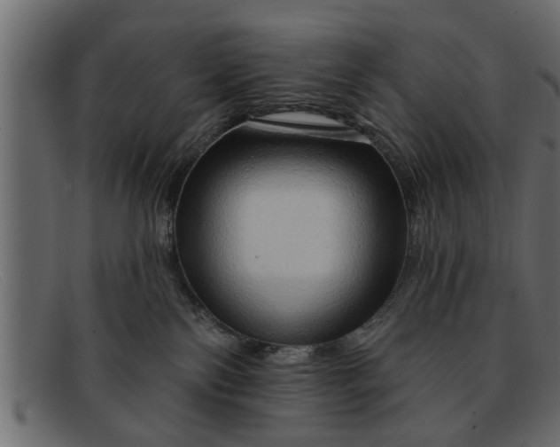 X0000091910138200709191327