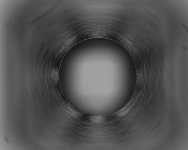 X0000091910142200709191327