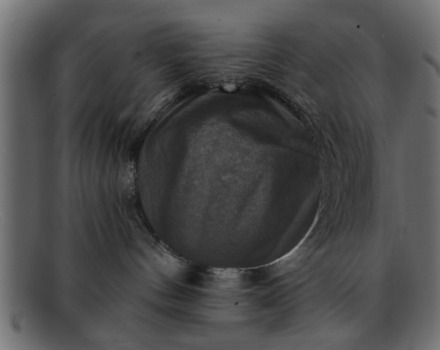 X0000091910144200709191327