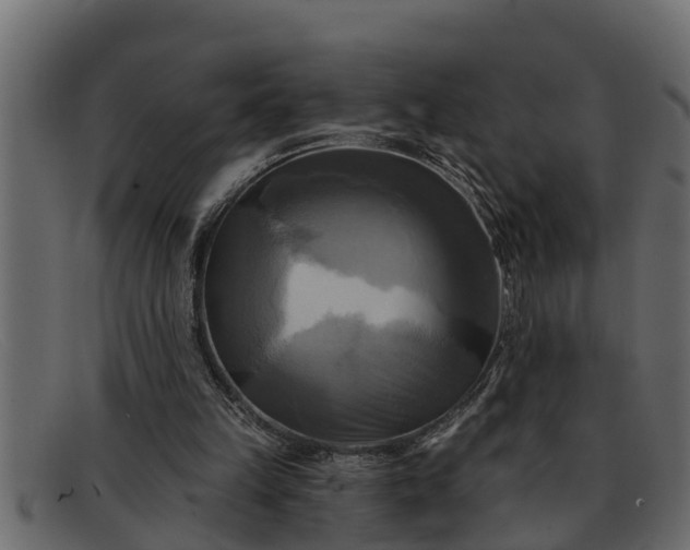 X0000091910149200709191326