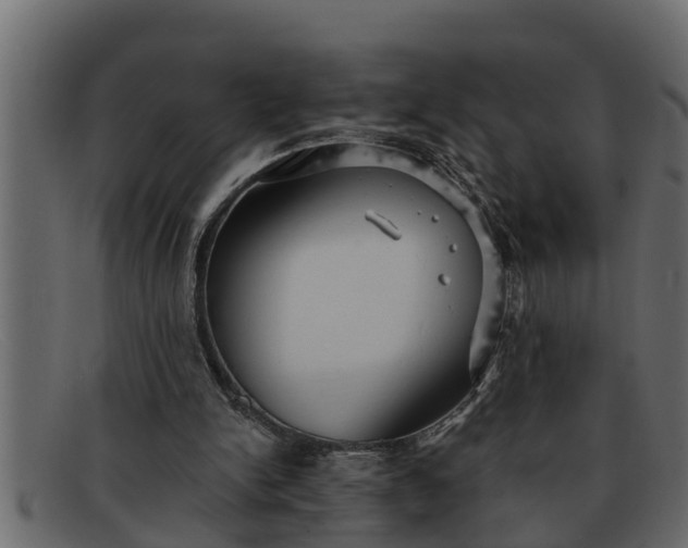 X0000091910150200709191326