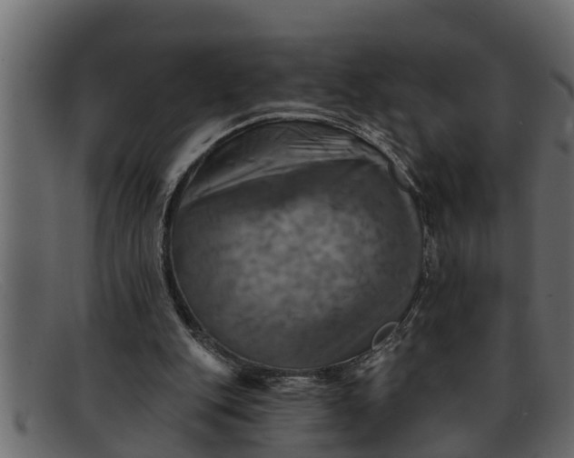 X0000091910151200709191326