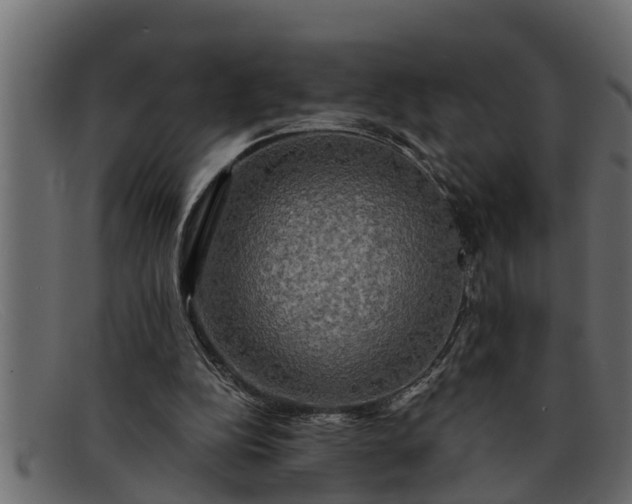 X0000091910152200709191327