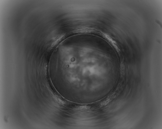 X0000091910153200709191327