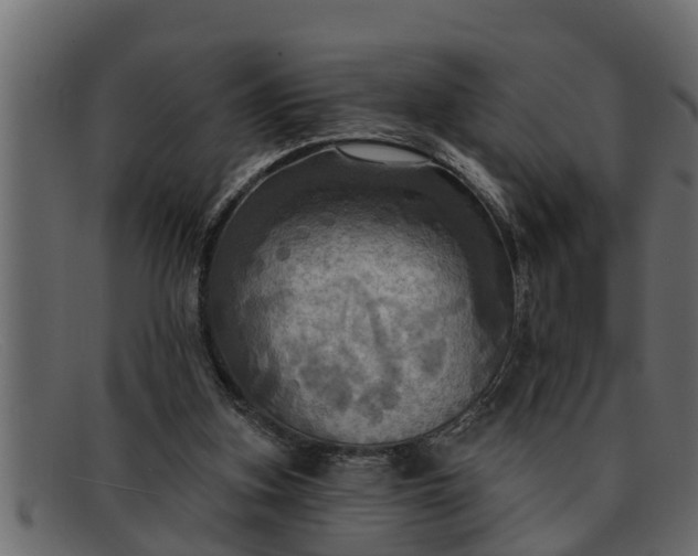 X0000091910155200709191327