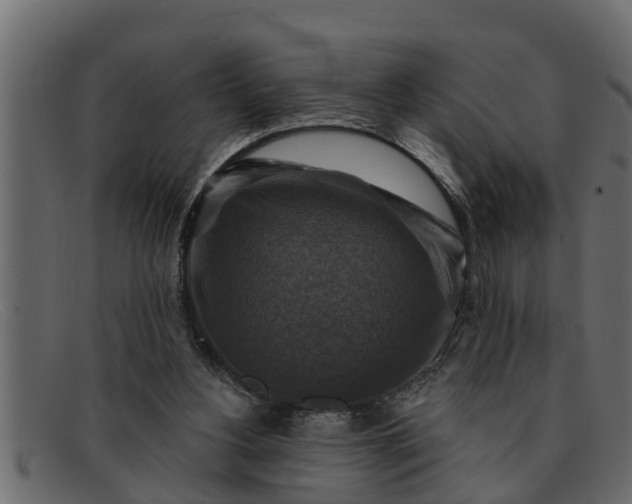 X0000091910156200709191327