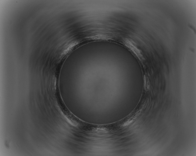 X0000091910157200709191327