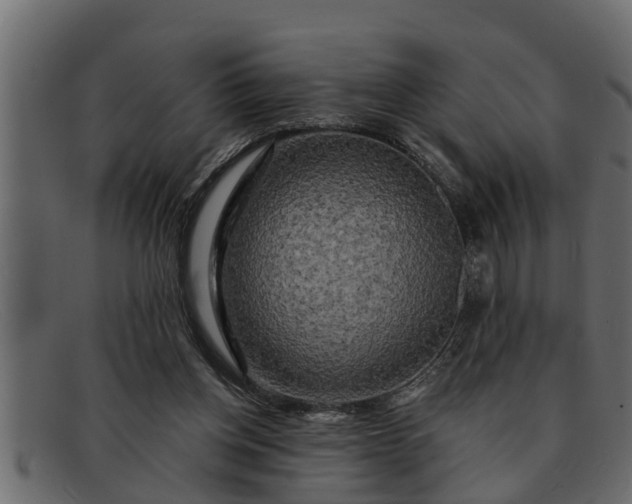 X0000091910158200709191327