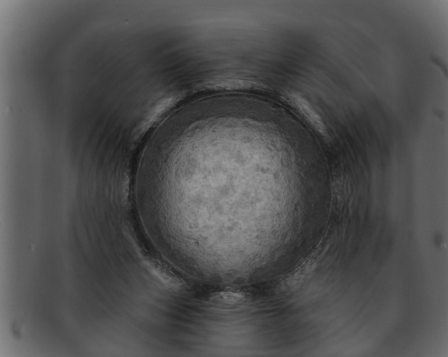 X0000091910159200709191327