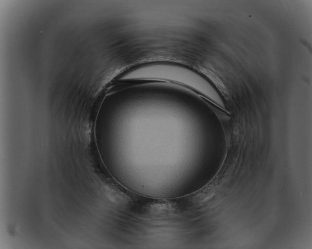 X0000091910160200709191327