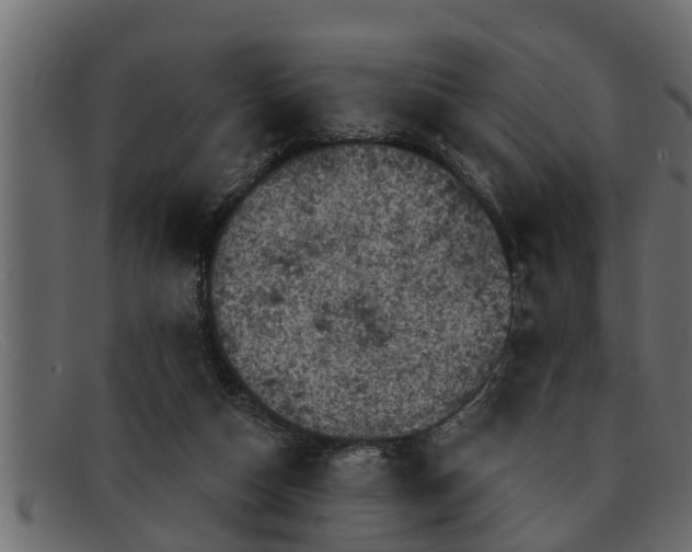 X0000091910162200709191327