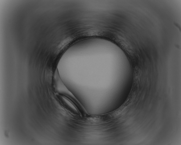 X0000091910164200709191327