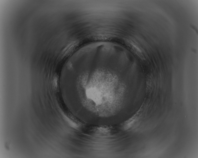 X0000091910166200709191327