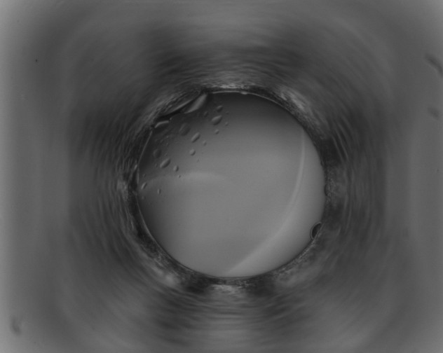 X0000091910167200709191327