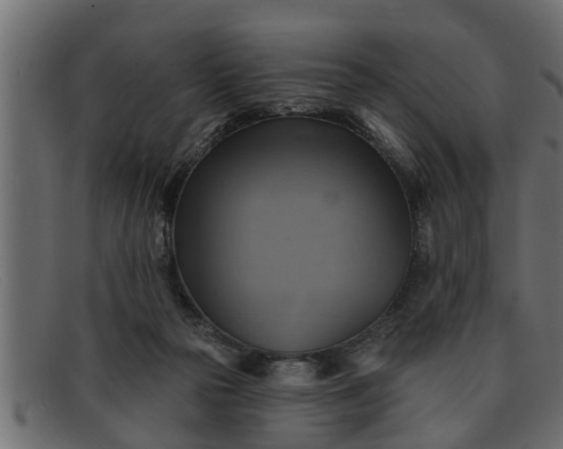 X0000091910169200709191327