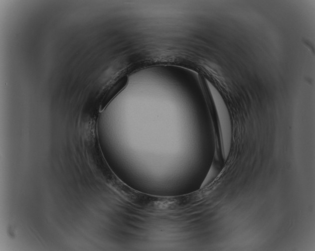 X0000091910172200709191327