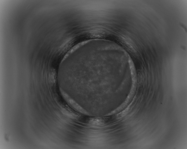 X0000091910174200709191327