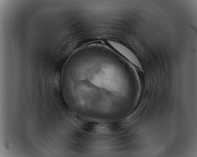 X0000091910175200709191327