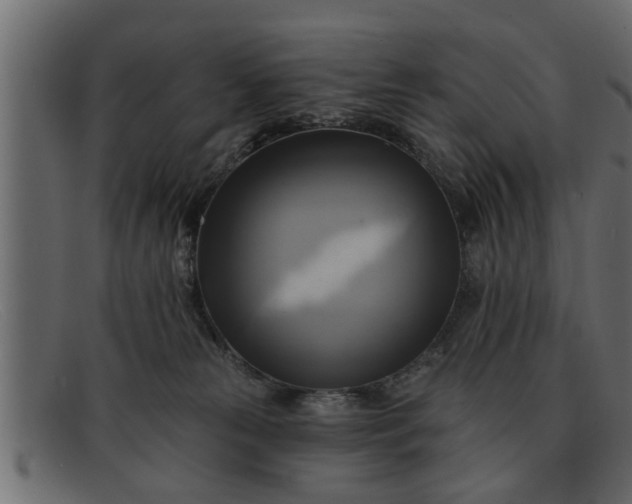 X0000091910181200709191327