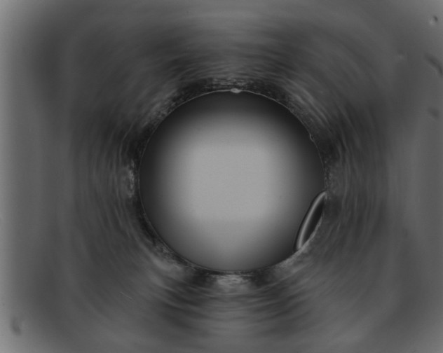 X0000091910183200709191327