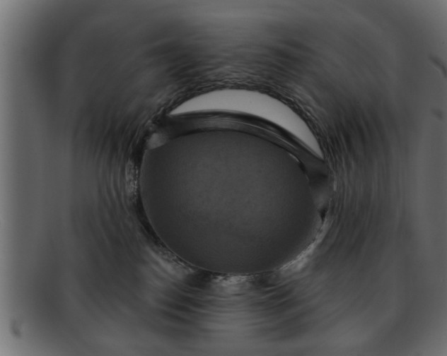 X0000091910186200709191327