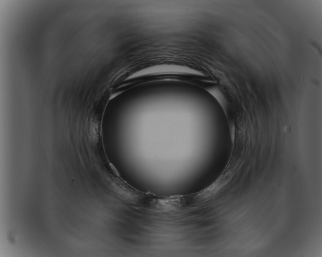 X0000091910188200709191327