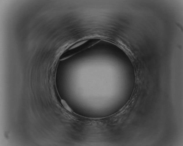 X0000091910193200709191326