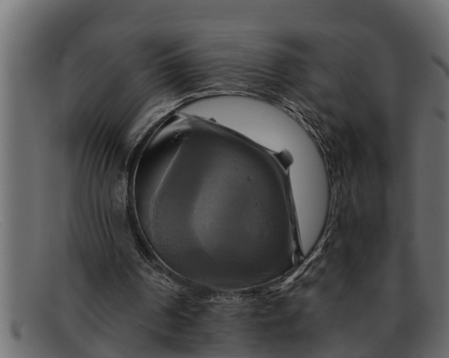 X0000091910194200709191326