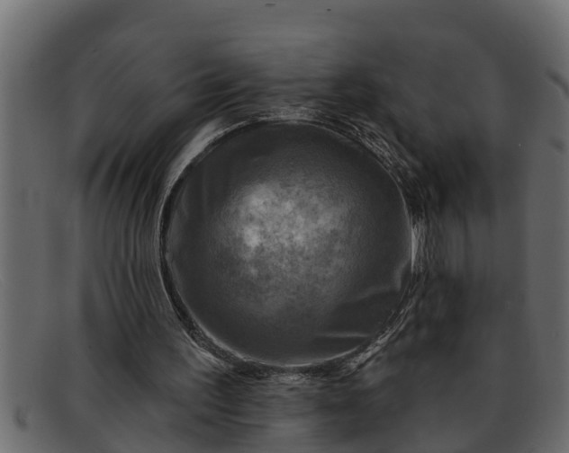 X0000091910195200709191326