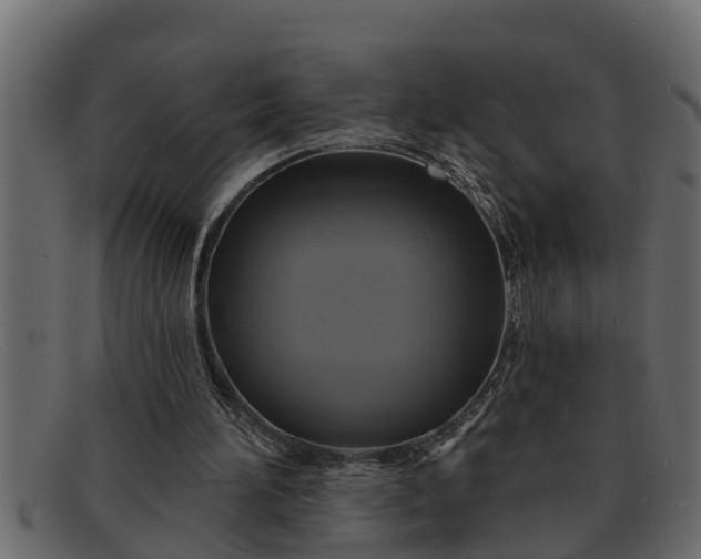 X0000091910196200709191326