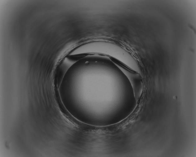 X0000091910197200709191326