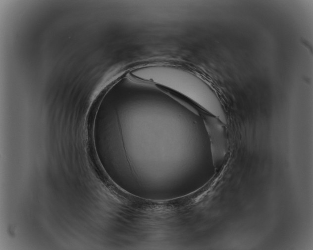 X0000091910198200709191326