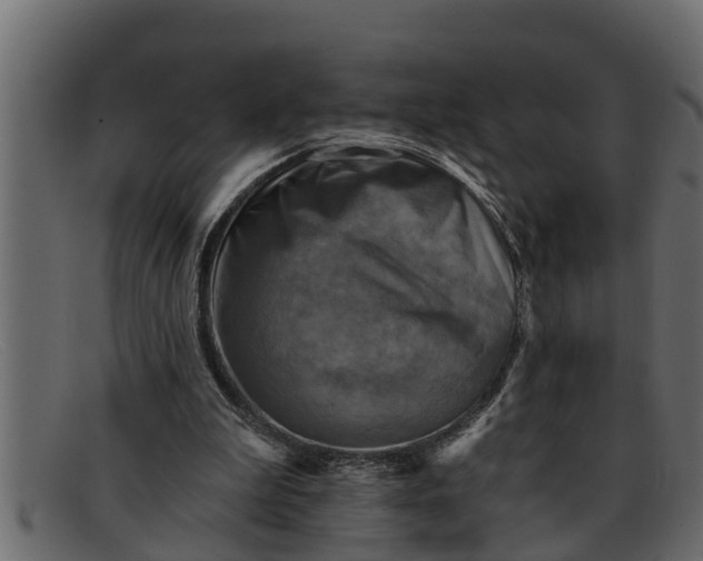 X0000091910199200709191326