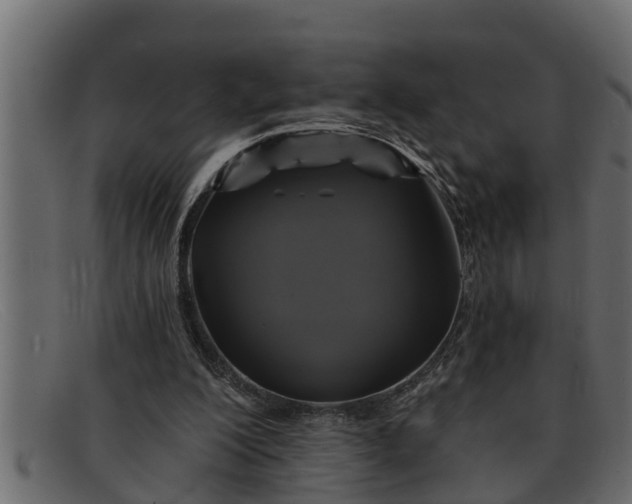 X0000091910200200709191326