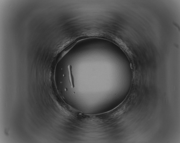 X0000091910201200709191326