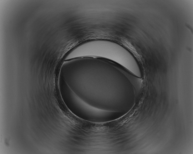 X0000091910202200709191326