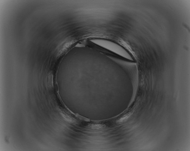 X0000091910205200709191326