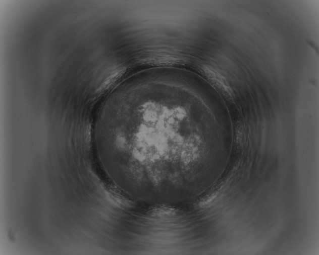 X0000091910206200709191326