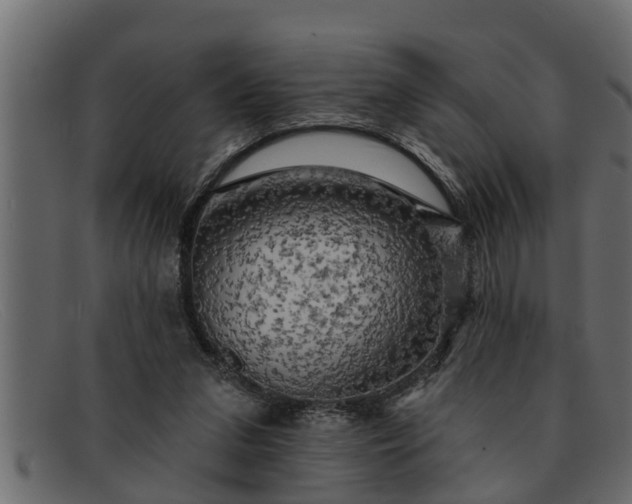 X0000091910207200709191326