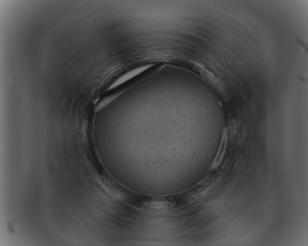 X0000091910209200709191326