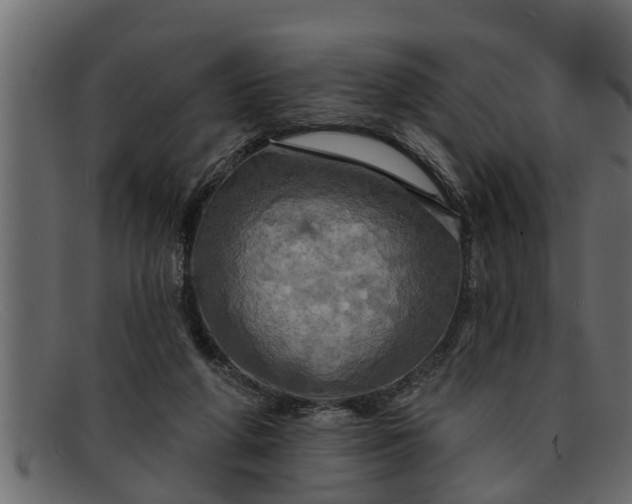 X0000091910210200709191326