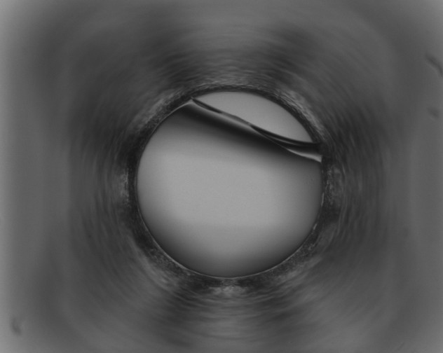 X0000091910212200709191326