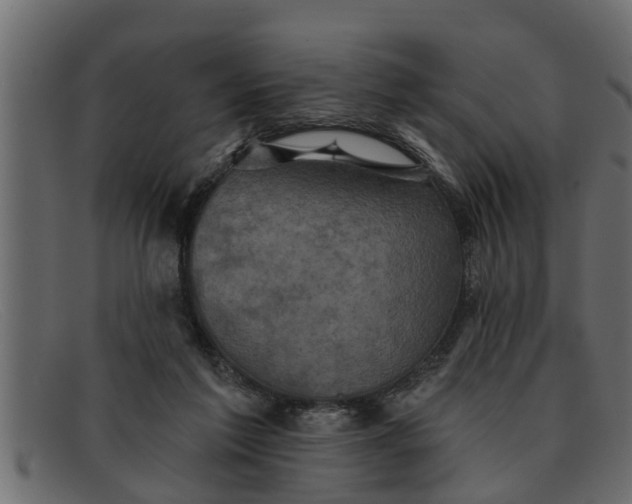 X0000091910213200709191326