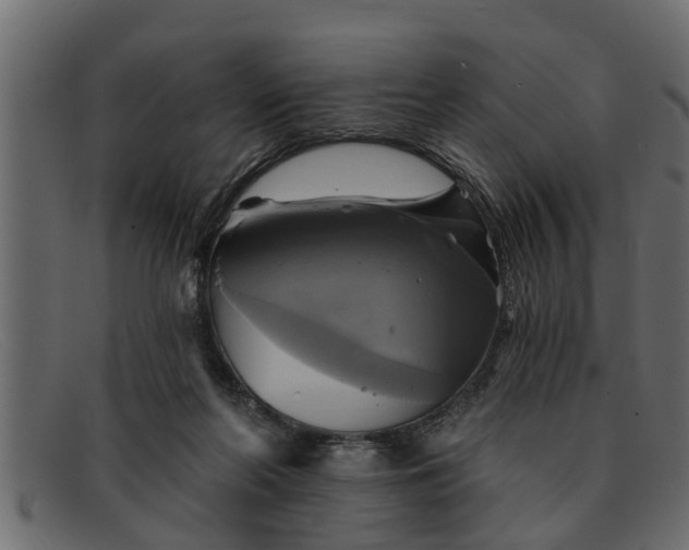 X0000091910214200709191326