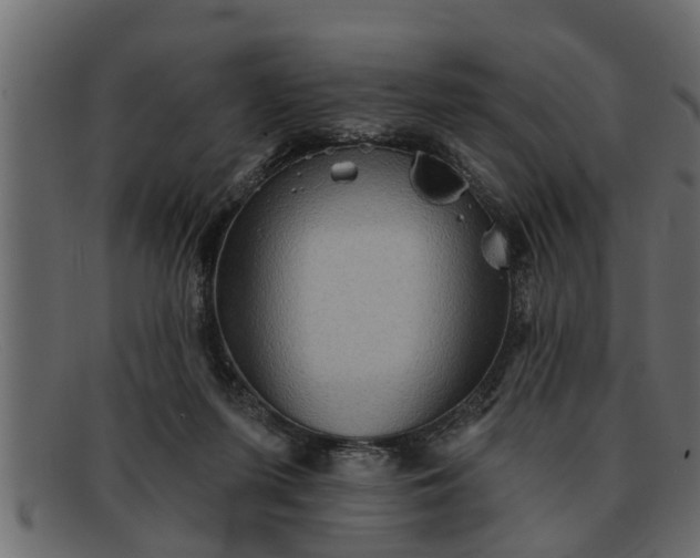 X0000091910215200709191326