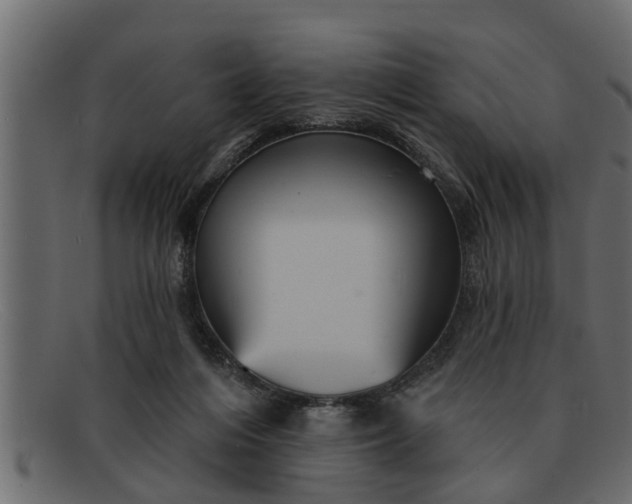 X0000091910216200709191326