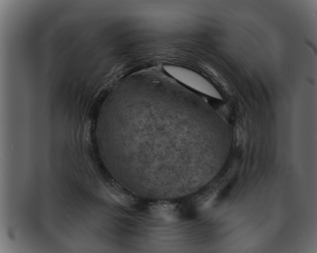 X0000091910217200709191326